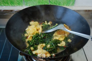 枸杞芽炒鸡蛋的做法步骤：6