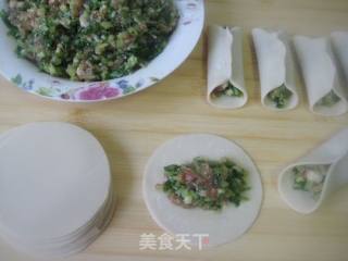 芹菜肉馅煎饺的做法步骤：5