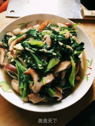 青菜炒香菇的做法
