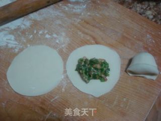 鲜美无比——韭菜海参馄饨的做法步骤：8