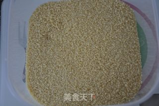 摩洛哥烧鸡的做法步骤：8