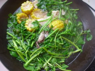 玉米冻豆腐牛肉西洋菜汤的做法步骤：7