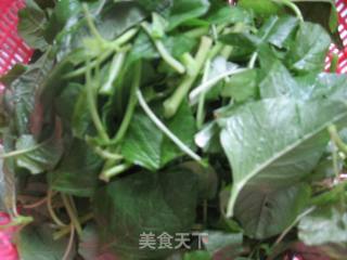 蒜泥苋菜的做法步骤：1