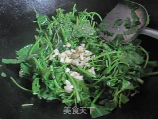 蒜泥苋菜的做法步骤：4