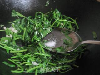 蒜泥苋菜的做法步骤：5