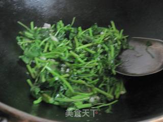 蒜泥苋菜的做法步骤：6