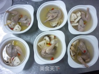 鹌鹑炖盅的做法步骤：4
