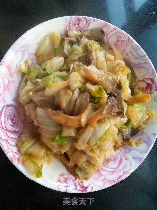 平菇烧白菜的做法