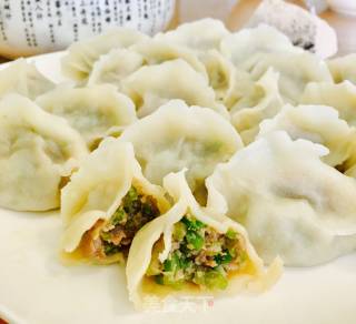 芹菜猪肉水饺的做法