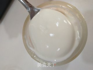 自制酸奶的做法