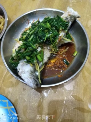 清蒸鲈鱼的做法