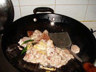 土豆炖兔肉的做法步骤：4