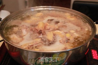 简式鸡汤火锅的做法步骤：6