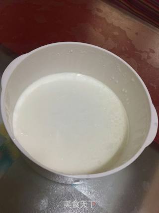 酸奶机酸奶的做法