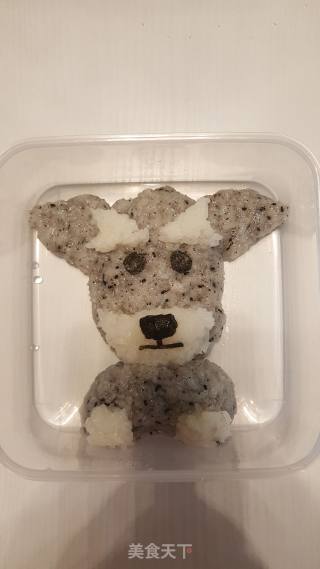 雪纳瑞甜饭的做法