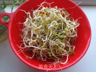 家生绿豆芽的做法