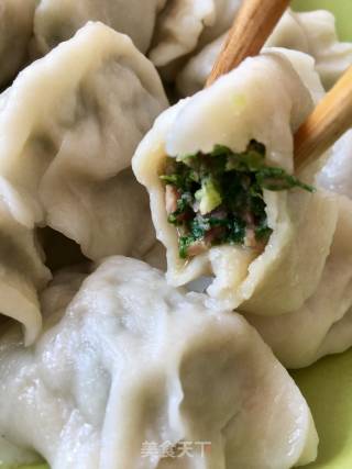 花样美食之荠菜饺子的做法