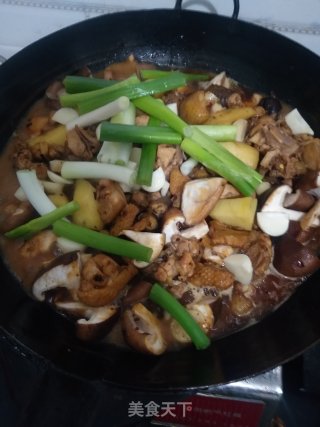 土豆焖鸡的做法