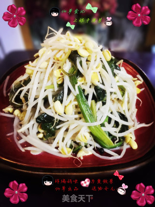 仙草阁私房菜（蔬菜大棚）--春分平和静心银芽菠菜