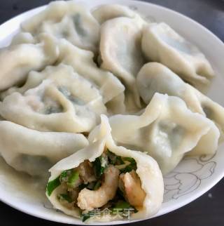 韭菜猪肉虾仁水饺的做法