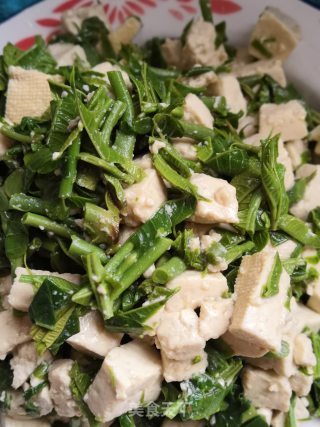 春食香椿鲜～香椿拌豆腐的做法
