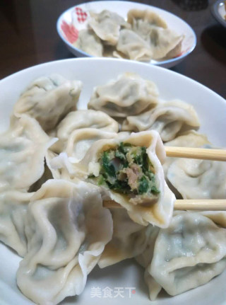 韭菜肉饺子的做法