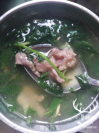 苦菜肉片汤的做法
