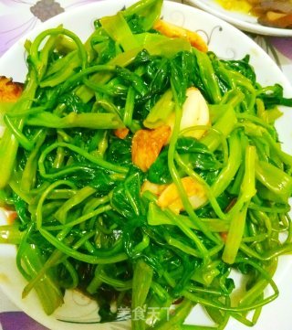 博白蕹菜的做法
