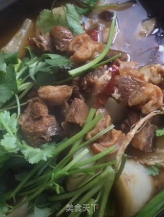 羊肉煲的做法
