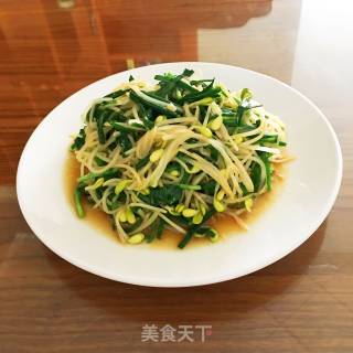 韭香豆芽的做法