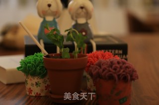 盆栽甜品的做法