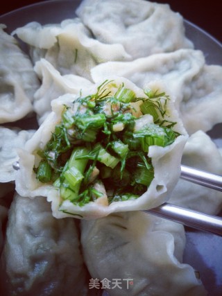 茴香猪肉饺子的做法