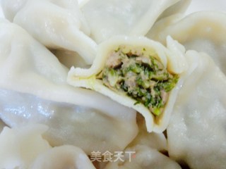 猪肉茴香饺子的做法