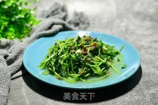 蒜香豆苗的做法