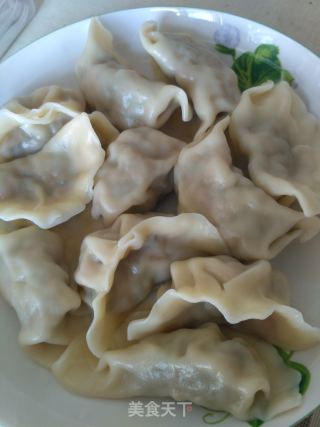 槐树花饺子的做法