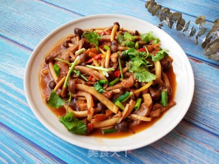 红烧杂菇的做法