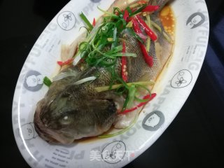 超入味的清蒸鲈鱼的做法