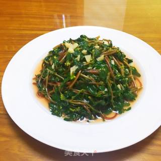 蒜炒马齿苋的做法