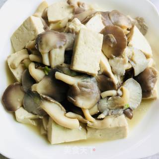 平菇烧豆腐的做法