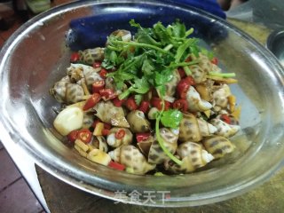 芥辣冰镇花螺的做法