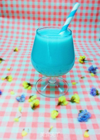 消夏饮品：蝶豆花蜂蜜牛奶的做法