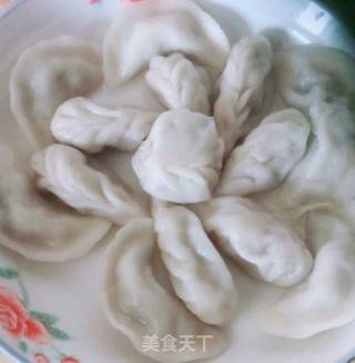 包包菜肉饺的做法