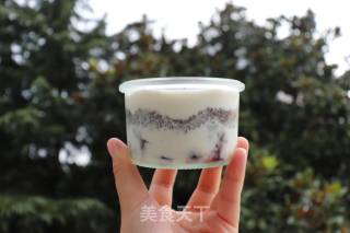 蔓越莓奇亚籽酸奶的做法