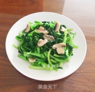 青菜炒蘑菇的做法
