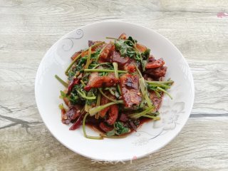 香菜炒猪鼻的做法
