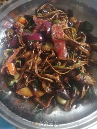 干锅茶树菇的做法
