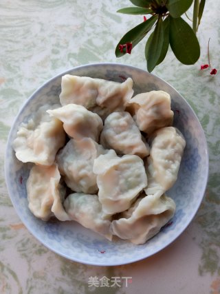 猪肉白菜饺子的做法