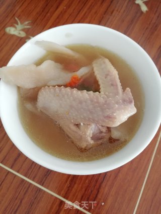老鸽汤的做法