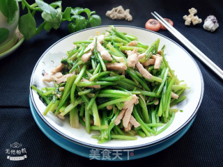 芫荽炒肉丝的做法