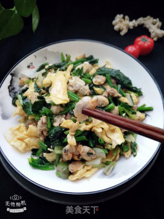 菠菜蛤肉炒鸡蛋的做法